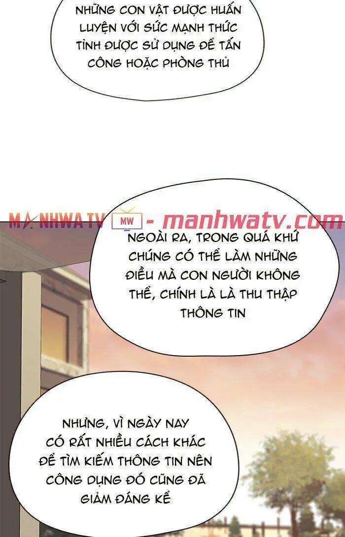 Hoá Thân Thành Mèo Nettruyen ZZZ Chương 81 Page 41