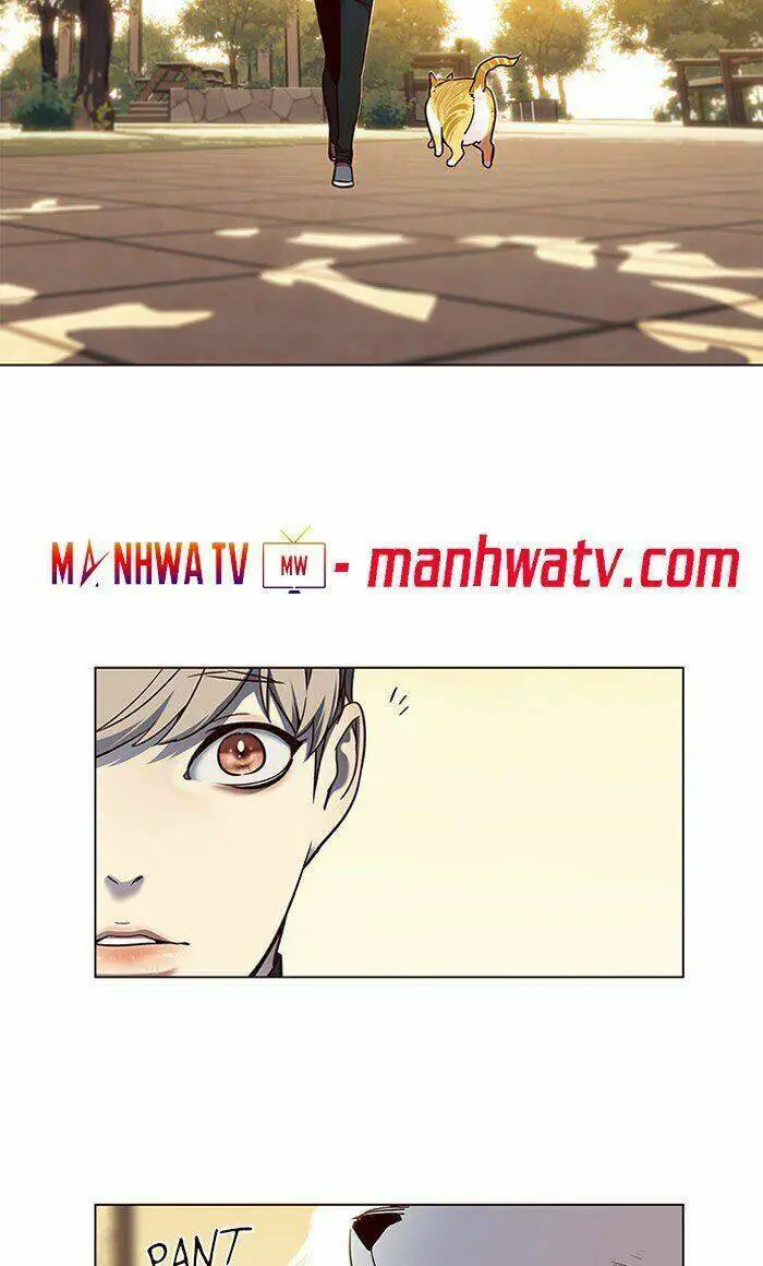 Hoá Thân Thành Mèo Nettruyen ZZZ Chương 80 Page 54