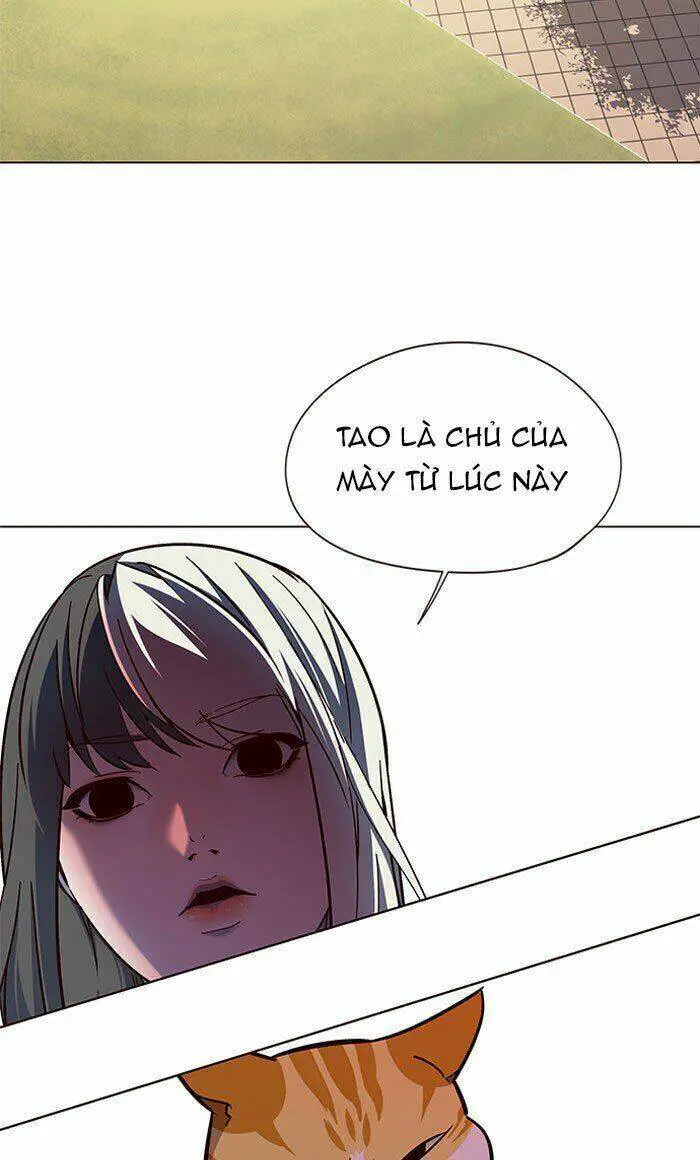 Hoá Thân Thành Mèo Nettruyen ZZZ Chương 80 Page 67