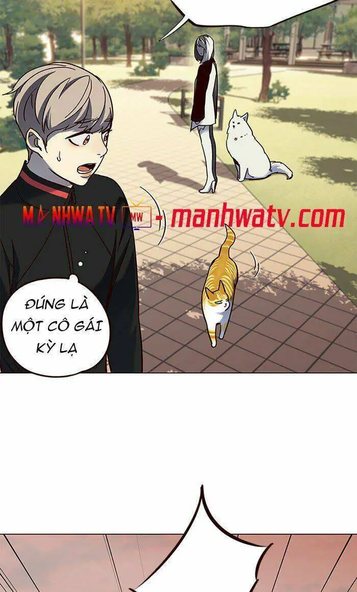 Hoá Thân Thành Mèo Nettruyen ZZZ Chương 80 Page 69