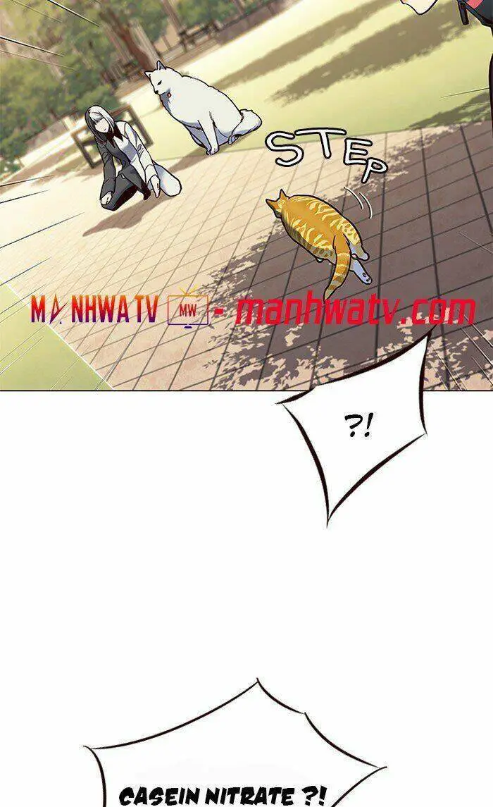 Hoá Thân Thành Mèo Nettruyen ZZZ Chương 80 Page 79