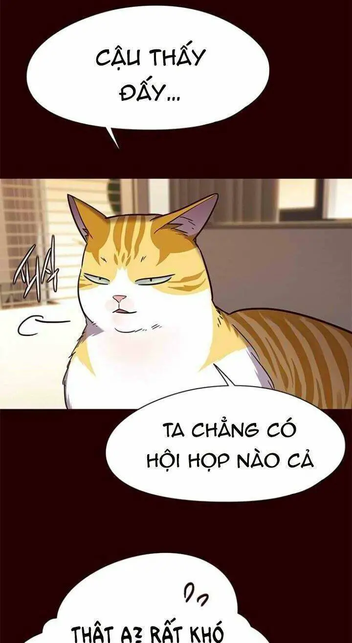 Hoá Thân Thành Mèo Nettruyen ZZZ Chương 96 Page 12