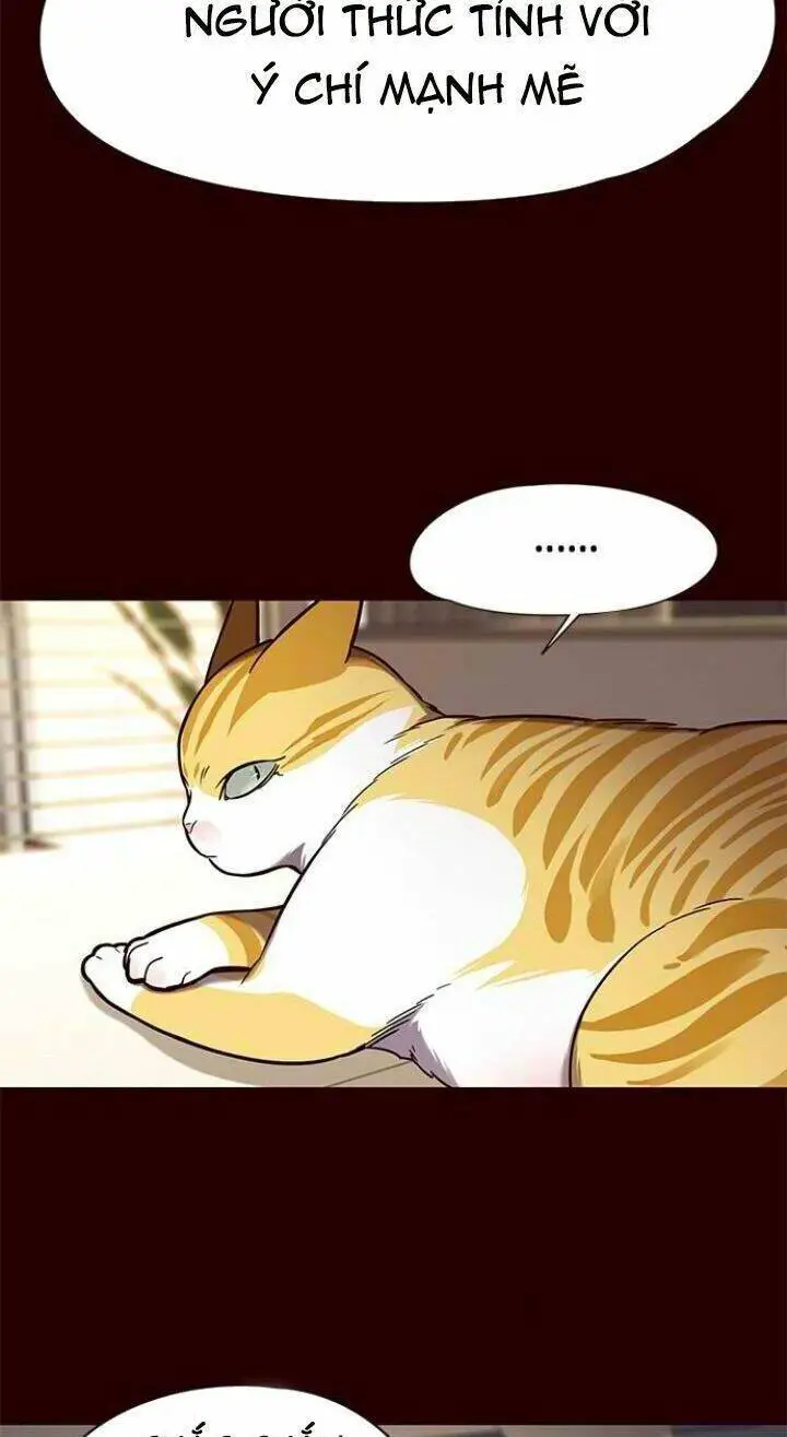 Hoá Thân Thành Mèo Nettruyen ZZZ Chương 96 Page 16