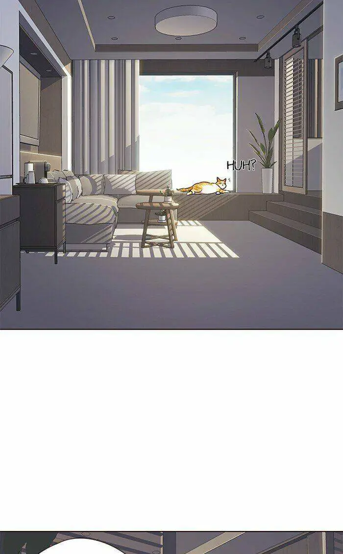 Hoá Thân Thành Mèo Nettruyen ZZZ Chương 70 Page 4