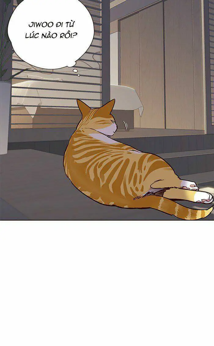 Hoá Thân Thành Mèo Nettruyen ZZZ Chương 70 Page 5