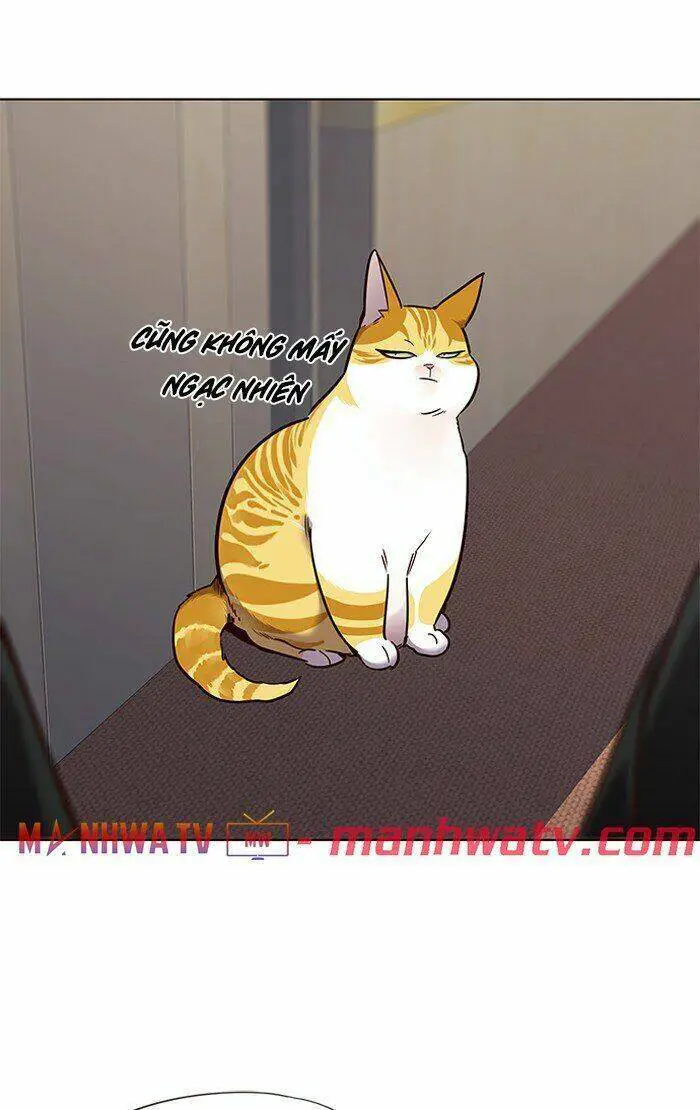 Hoá Thân Thành Mèo Nettruyen ZZZ Chương 68 Page 71