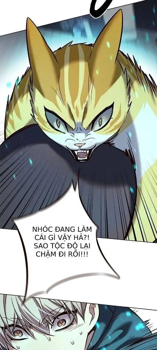 Hoá Thân Thành Mèo Nettruyen ZZZ Chương 241 Page 12