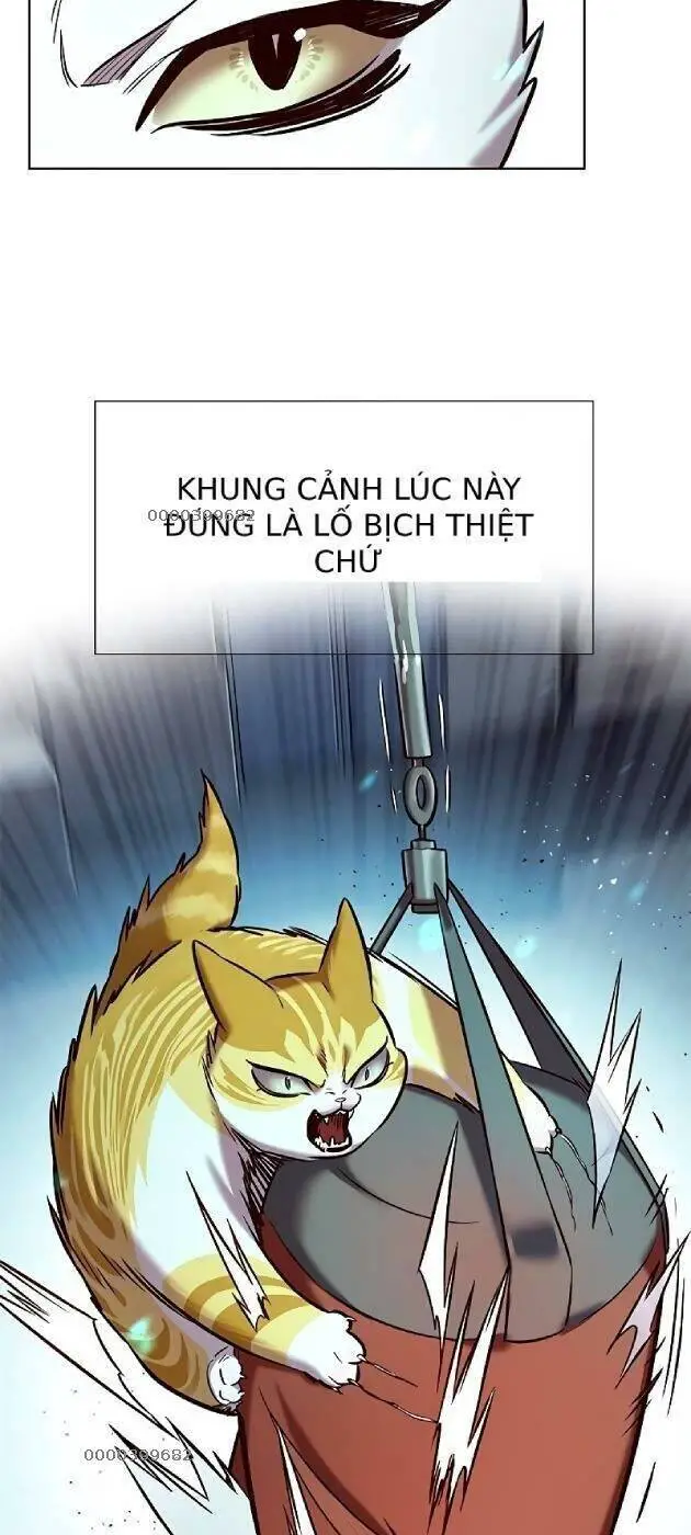 Hoá Thân Thành Mèo Nettruyen ZZZ Chương 241 Page 15