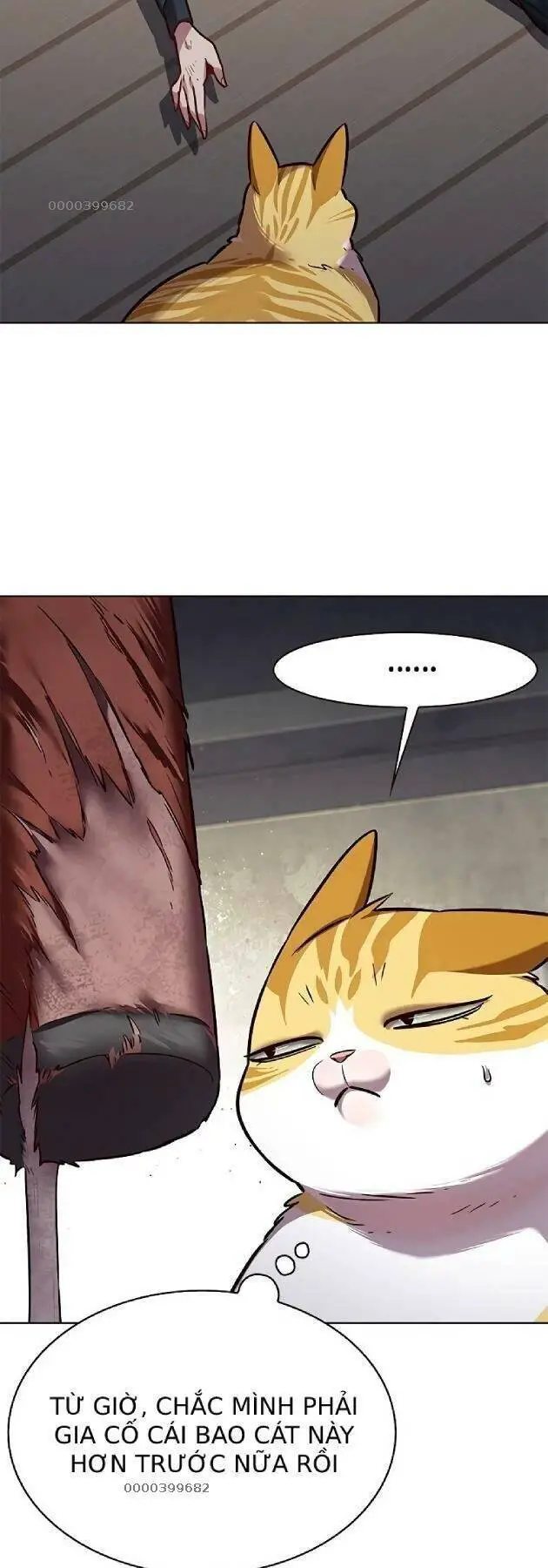 Hoá Thân Thành Mèo Nettruyen ZZZ Chương 241 Page 27