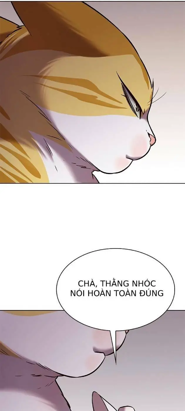 Hoá Thân Thành Mèo Nettruyen ZZZ Chương 241.1 Page 58