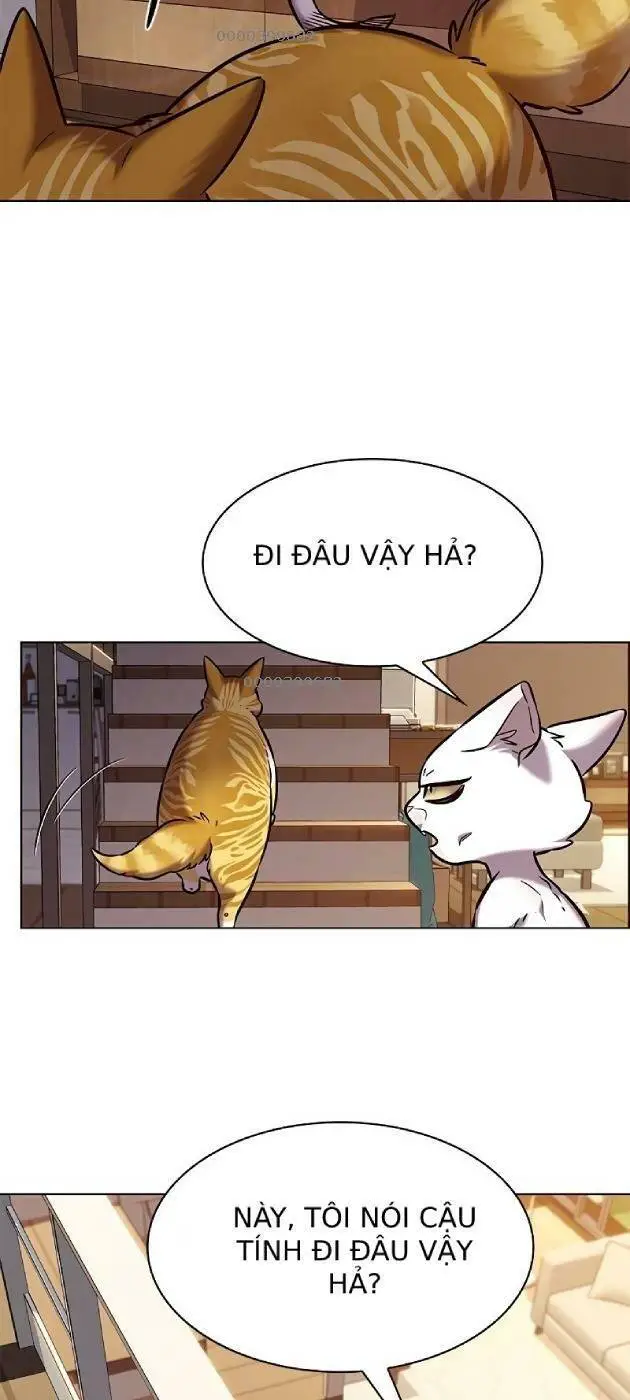 Hoá Thân Thành Mèo Nettruyen ZZZ Chương 241.1 Page 60