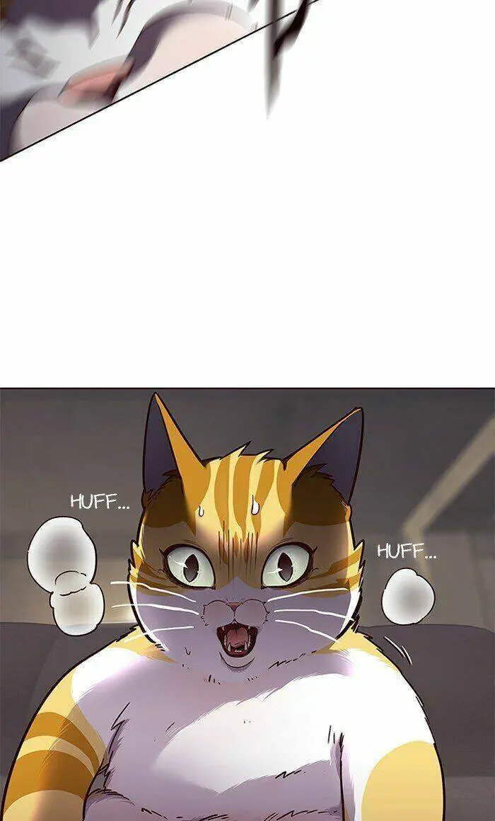 Hoá Thân Thành Mèo Nettruyen ZZZ Chương 65 Page 11