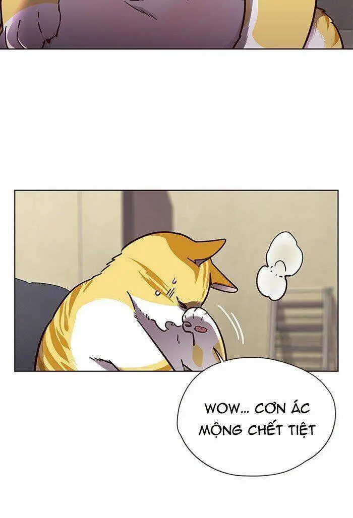 Hoá Thân Thành Mèo Nettruyen ZZZ Chương 65 Page 12