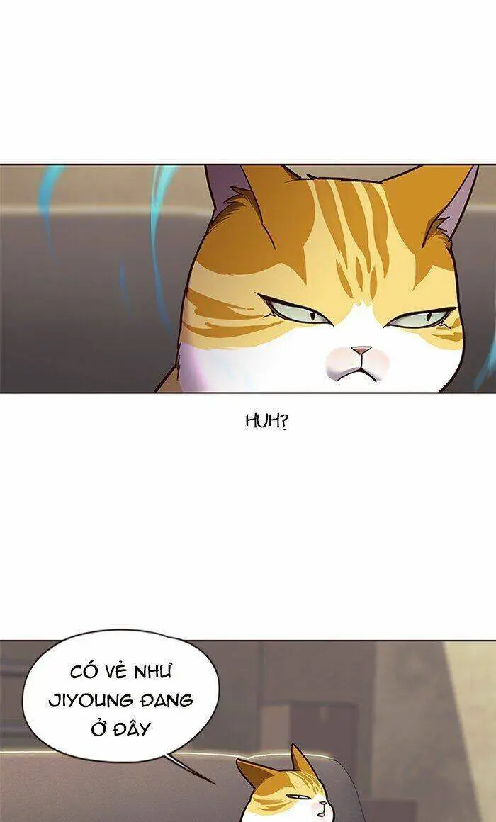 Hoá Thân Thành Mèo Nettruyen ZZZ Chương 65 Page 24