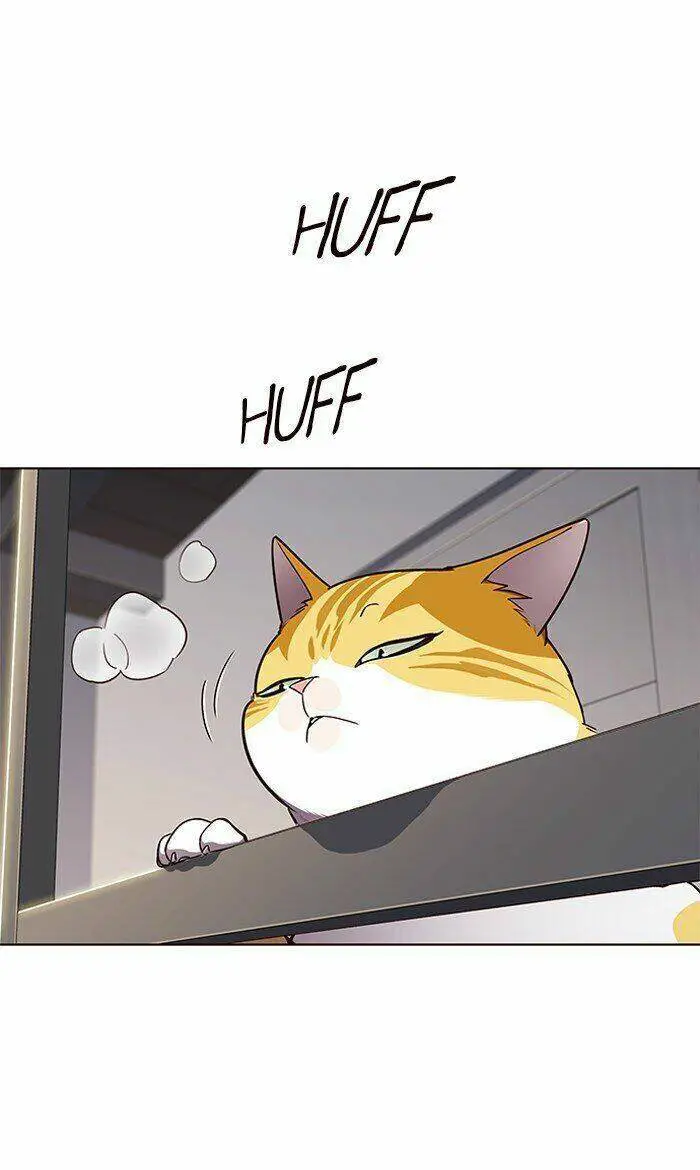 Hoá Thân Thành Mèo Nettruyen ZZZ Chương 64 Page 52