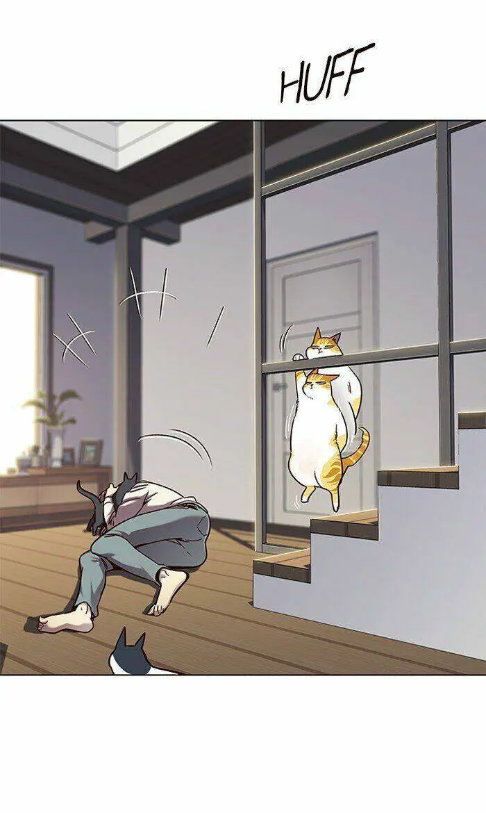 Hoá Thân Thành Mèo Nettruyen ZZZ Chương 64 Page 53