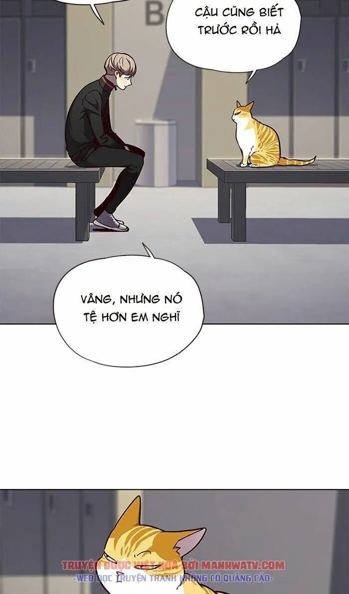 Hoá Thân Thành Mèo Nettruyen ZZZ Chương 63 Page 40