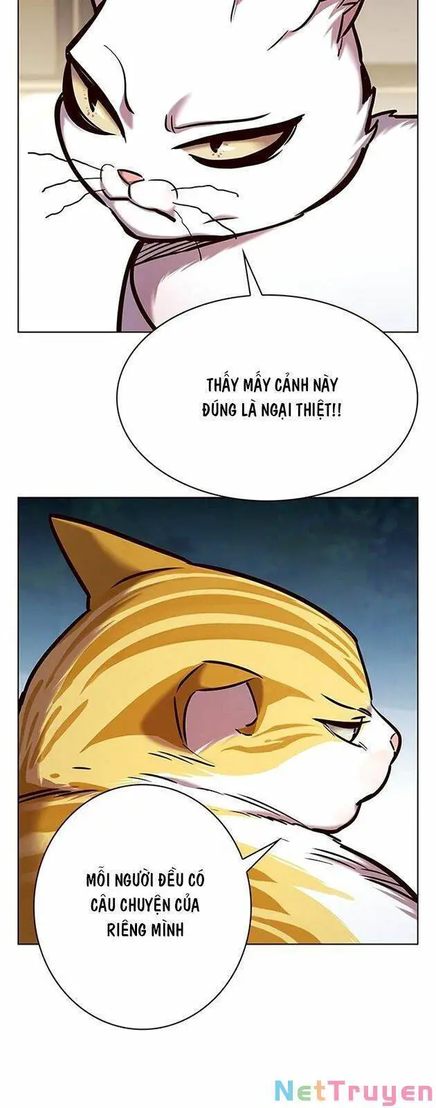 Hoá Thân Thành Mèo Nettruyen ZZZ Chương 227 Page 2
