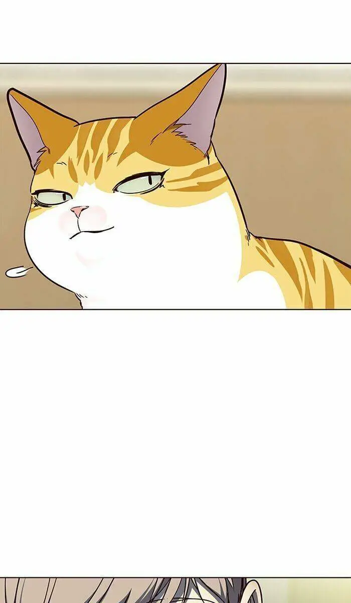Hoá Thân Thành Mèo Nettruyen ZZZ Chương 61 Page 79