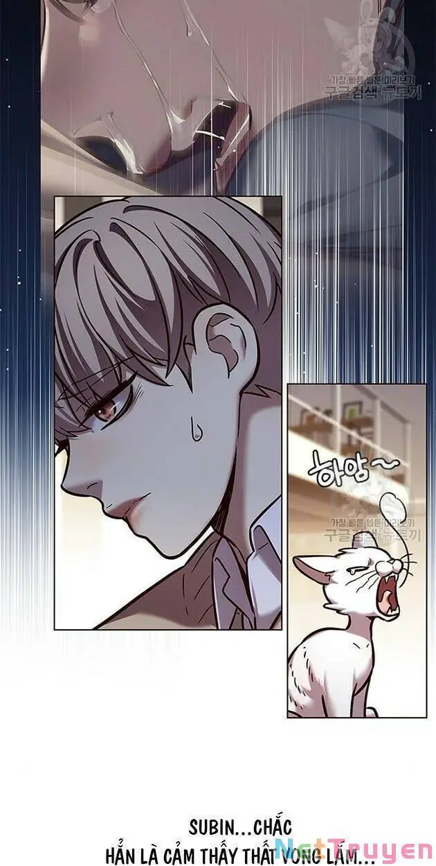 Hoá Thân Thành Mèo Nettruyen ZZZ Chương 228 Page 7
