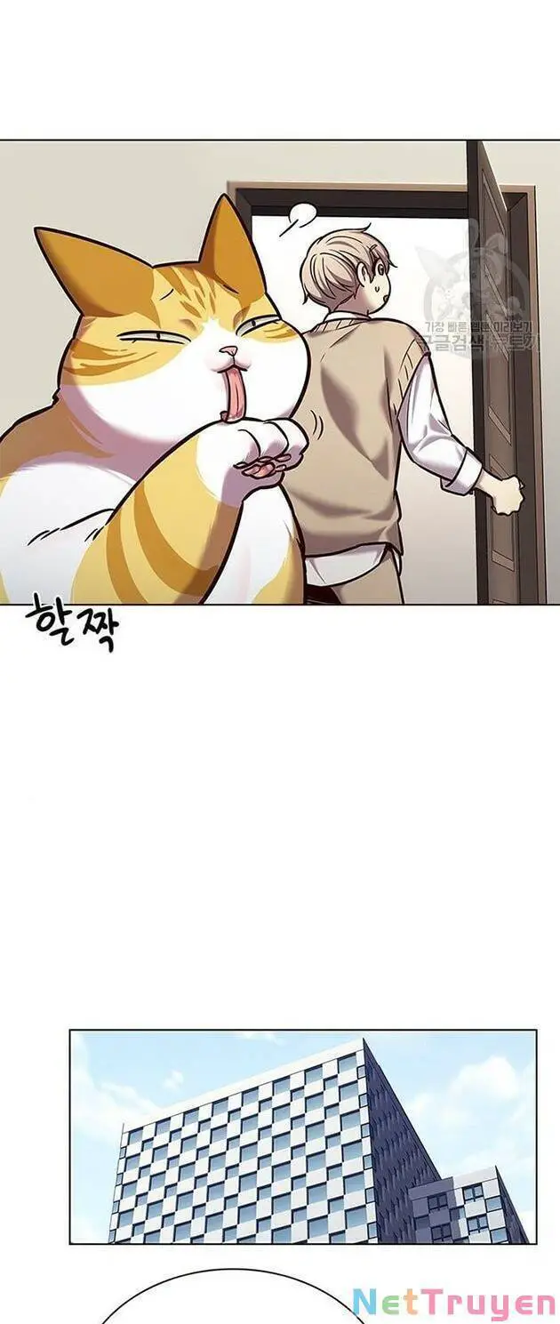 Hoá Thân Thành Mèo Nettruyen ZZZ Chương 228 Page 23
