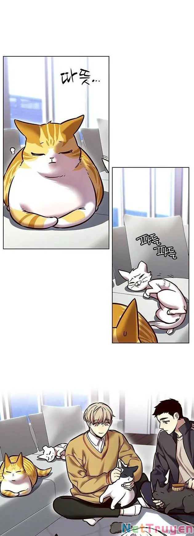 Hoá Thân Thành Mèo Nettruyen ZZZ Chương 229 Page 20