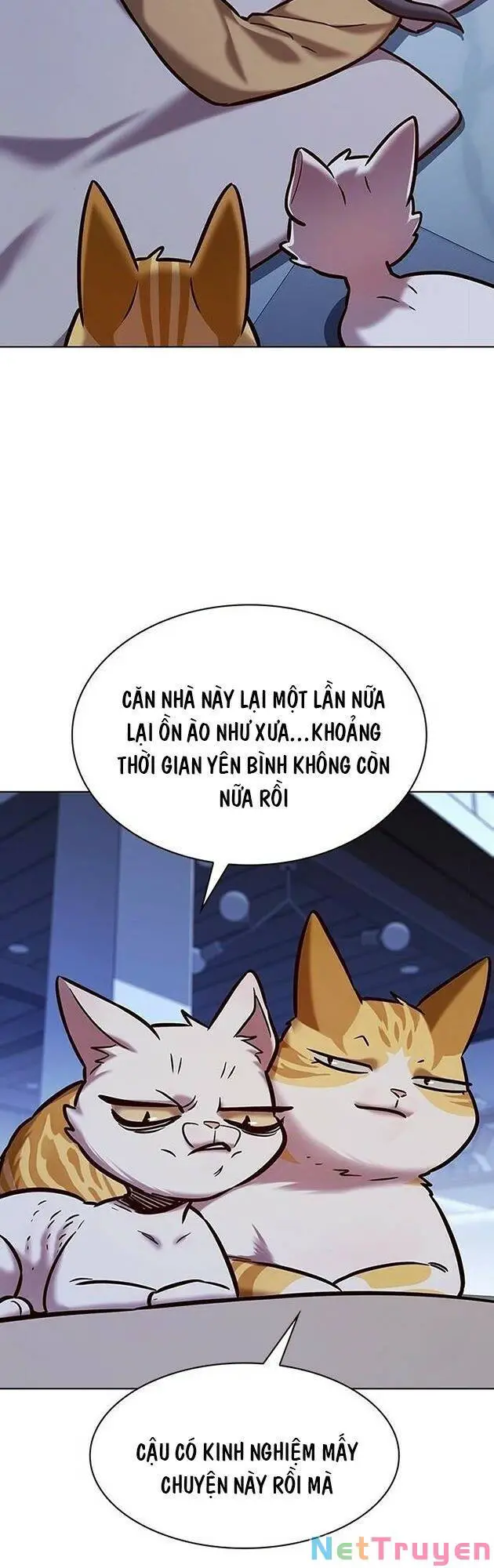 Hoá Thân Thành Mèo Nettruyen ZZZ Chương 229 Page 46