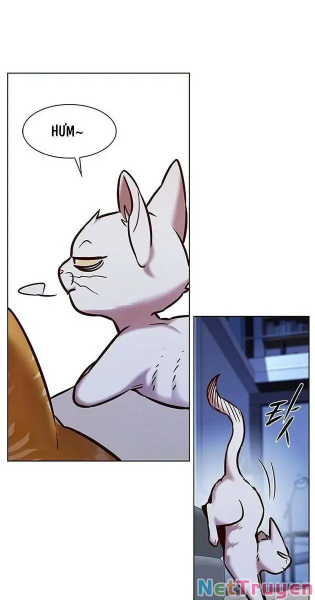 Hoá Thân Thành Mèo Nettruyen ZZZ Chương 229 Page 47