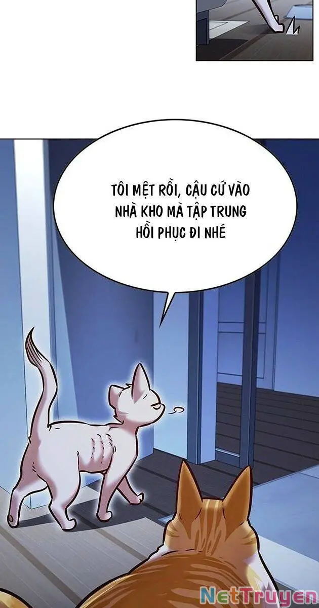 Hoá Thân Thành Mèo Nettruyen ZZZ Chương 229 Page 48