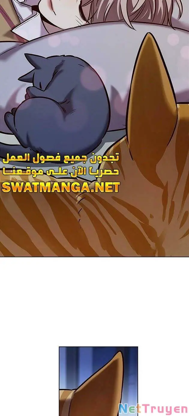 Hoá Thân Thành Mèo Nettruyen ZZZ Chương 229 Page 50