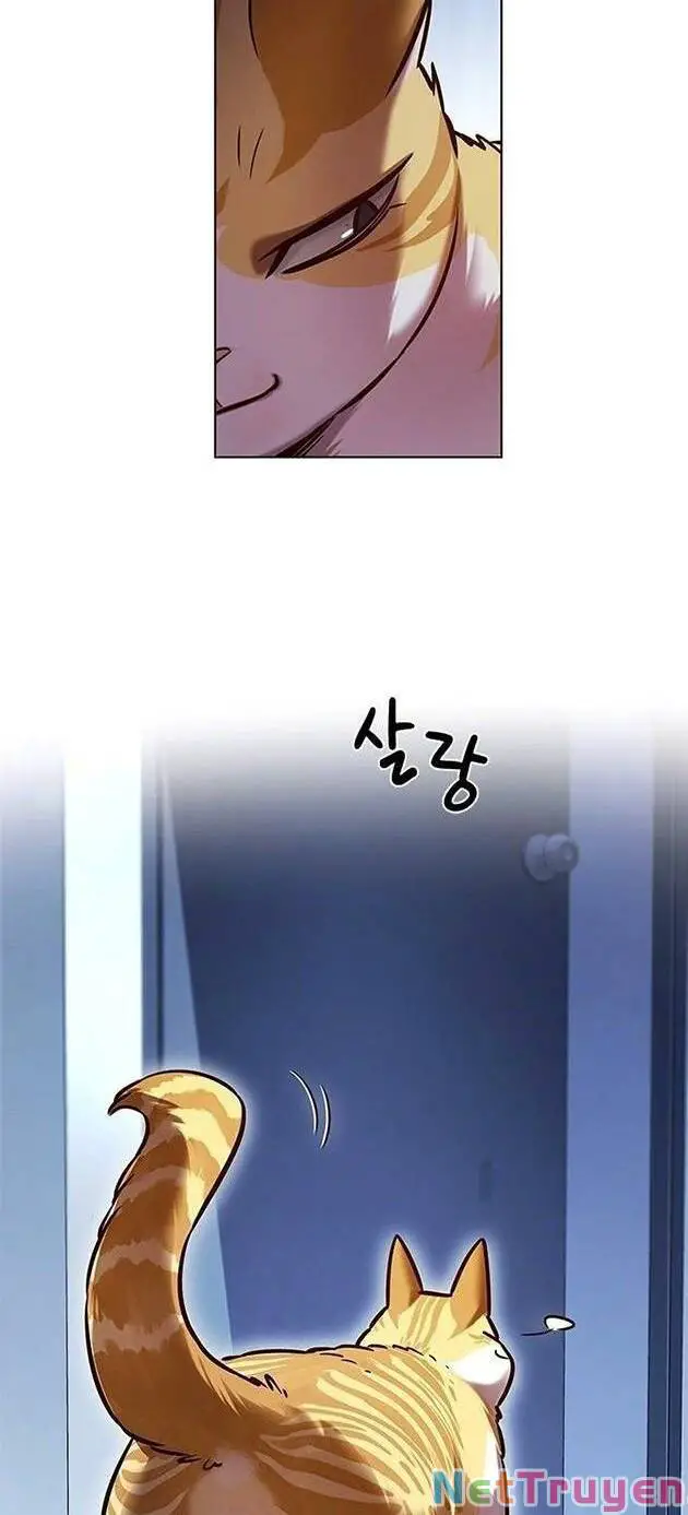 Hoá Thân Thành Mèo Nettruyen ZZZ Chương 229 Page 51