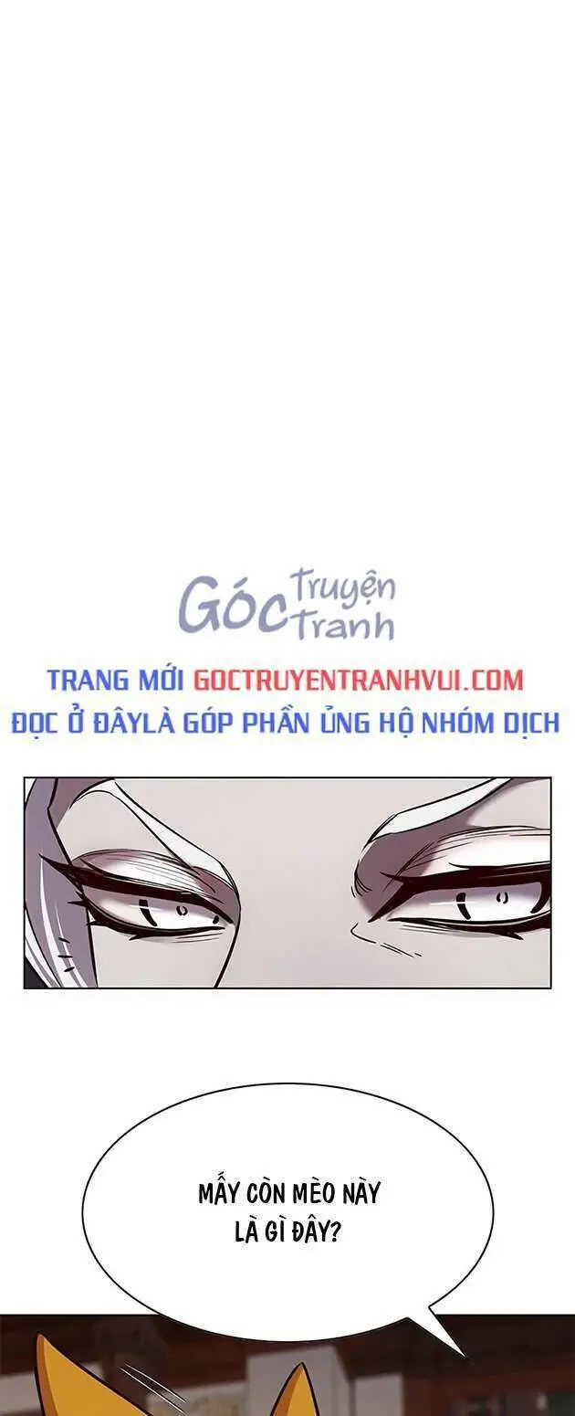 Hoá Thân Thành Mèo Nettruyen ZZZ Chương 246 Page 1