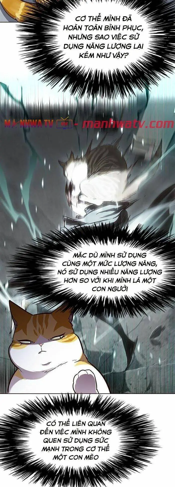 Hoá Thân Thành Mèo Nettruyen ZZZ Chương 55 Page 5