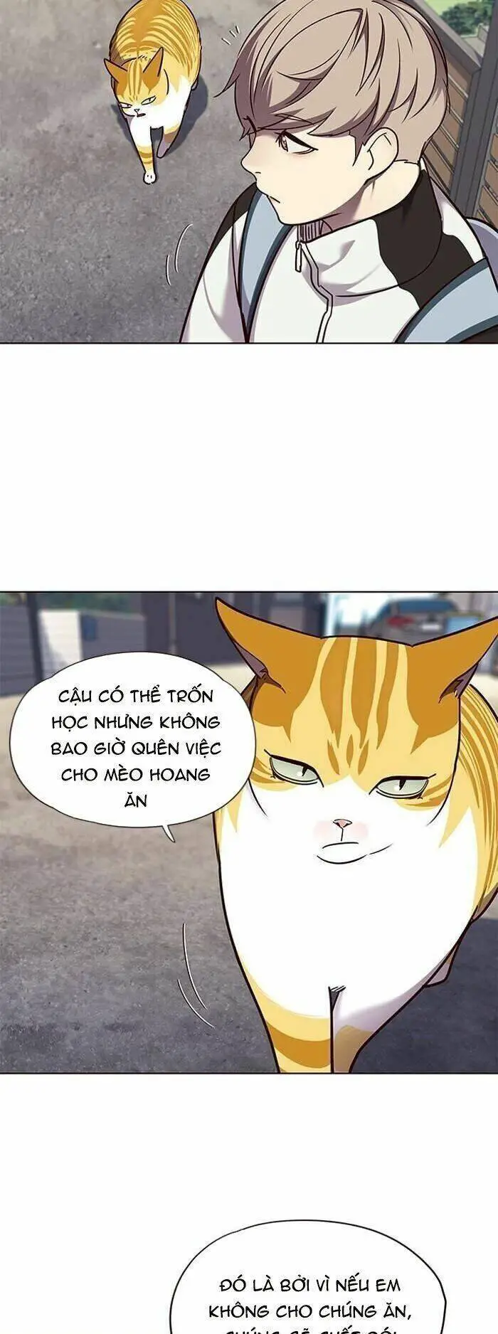 Hoá Thân Thành Mèo Nettruyen ZZZ Chương 55 Page 16
