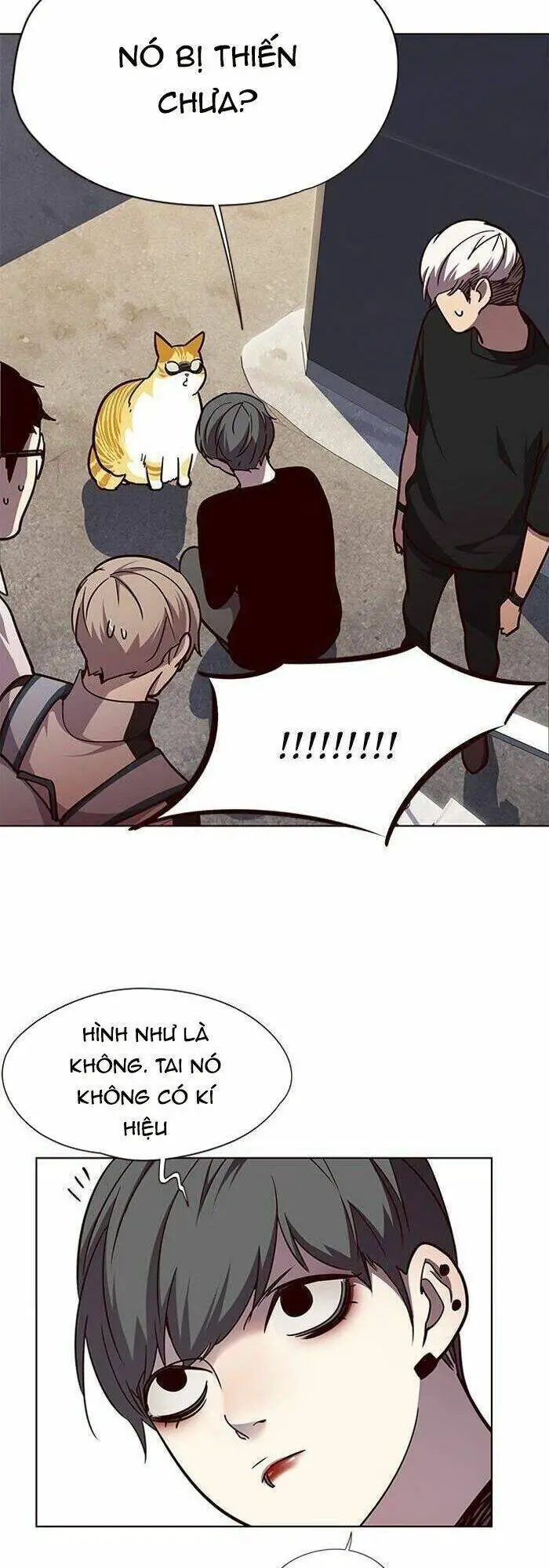 Hoá Thân Thành Mèo Nettruyen ZZZ Chương 55 Page 45