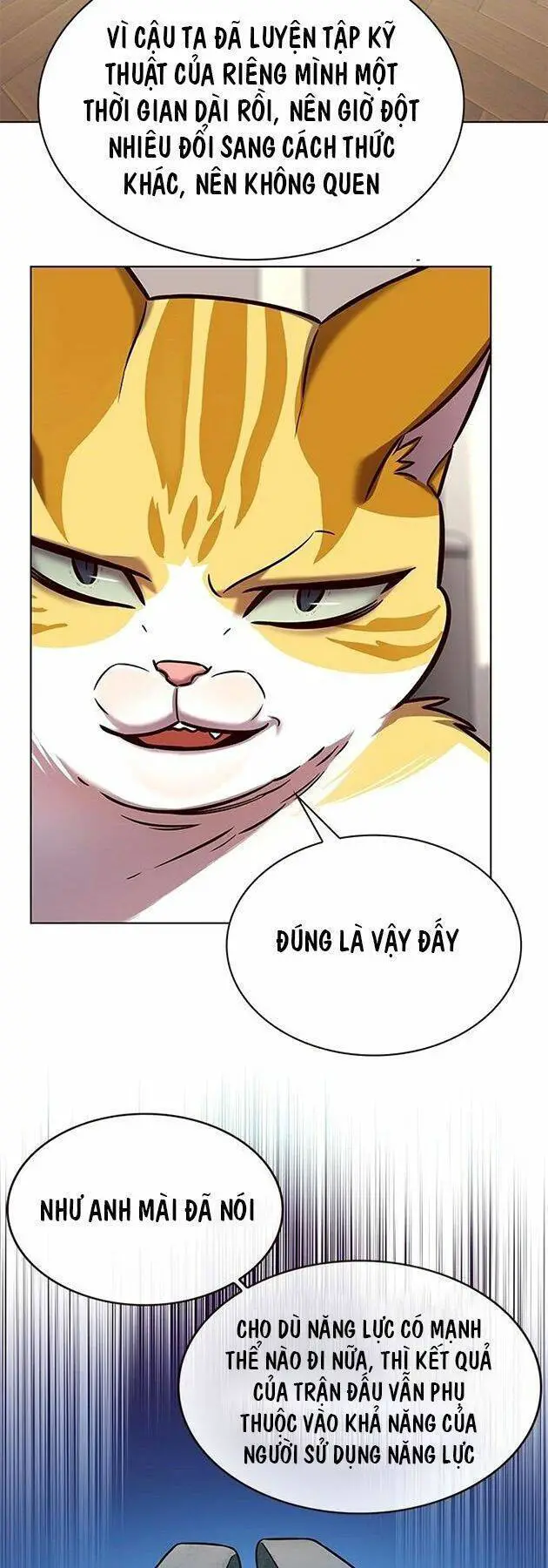 Hoá Thân Thành Mèo Nettruyen ZZZ Chương 218 Page 47