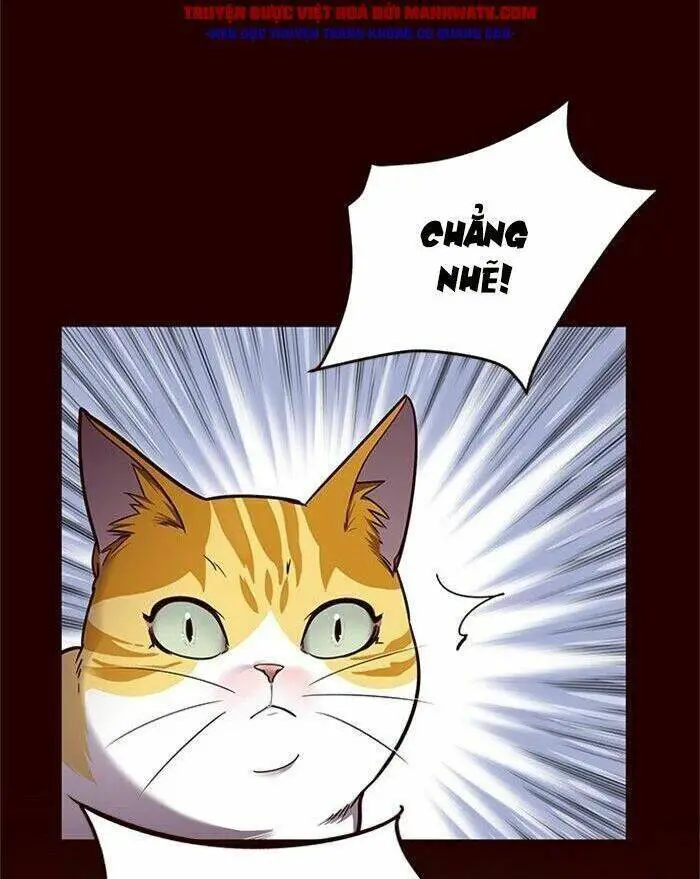 Hoá Thân Thành Mèo Nettruyen ZZZ Chương 52 Page 48