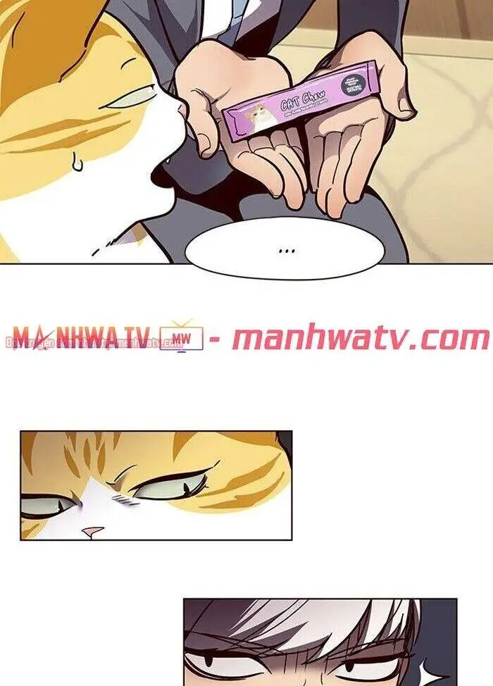 Hoá Thân Thành Mèo Nettruyen ZZZ Chương 50 Page 16