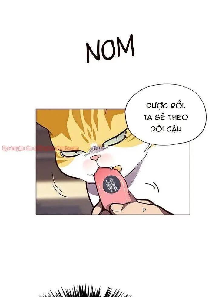 Hoá Thân Thành Mèo Nettruyen ZZZ Chương 50 Page 39
