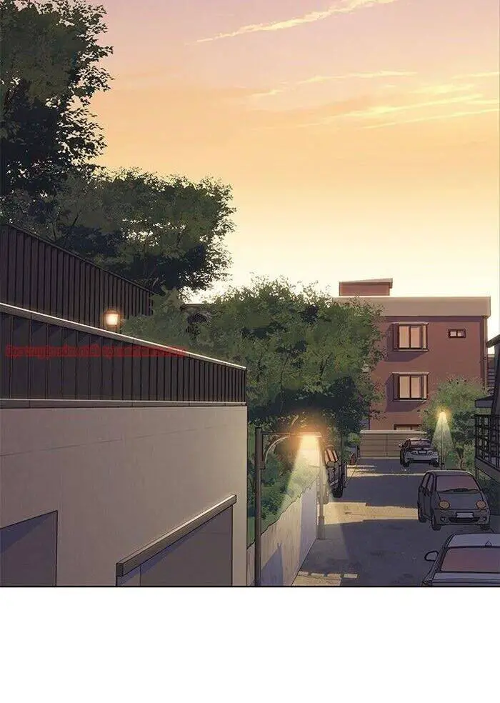 Hoá Thân Thành Mèo Nettruyen ZZZ Chương 50 Page 49