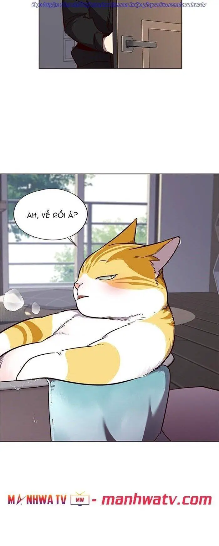 Hoá Thân Thành Mèo Nettruyen ZZZ Chương 47 Page 27