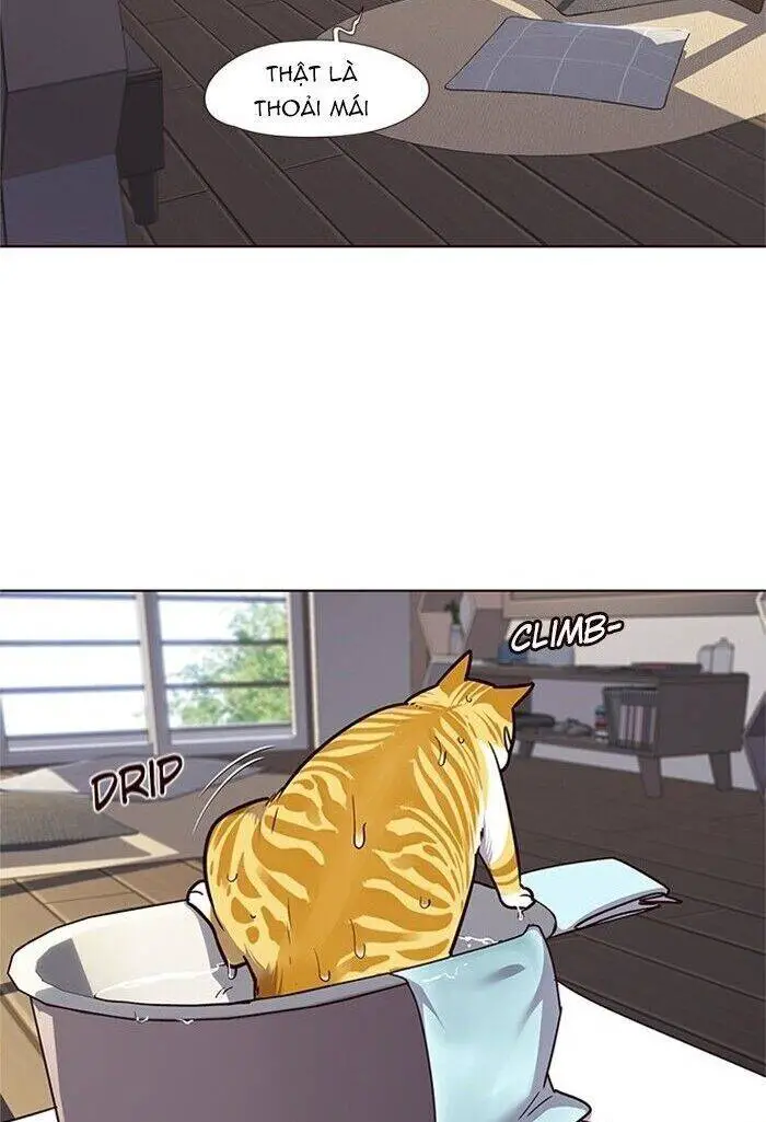 Hoá Thân Thành Mèo Nettruyen ZZZ Chương 47 Page 31