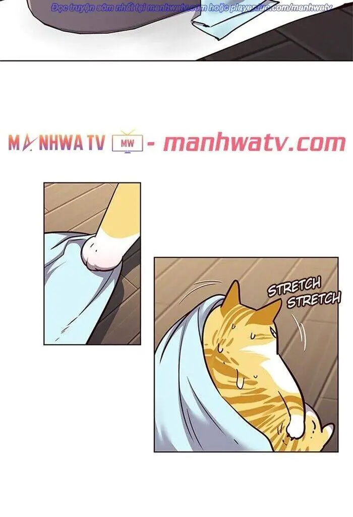 Hoá Thân Thành Mèo Nettruyen ZZZ Chương 47 Page 32