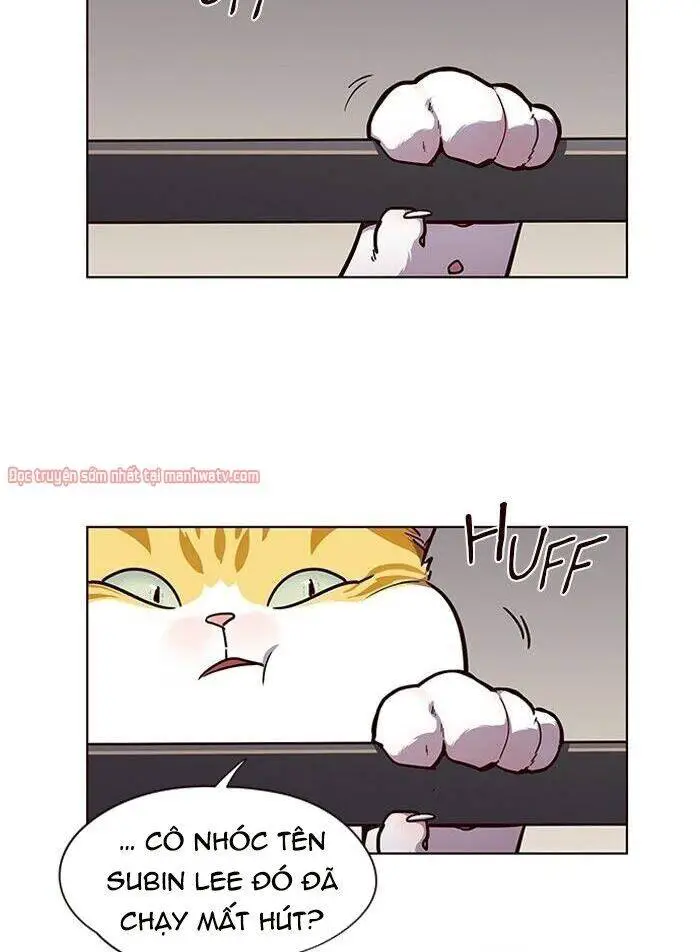 Hoá Thân Thành Mèo Nettruyen ZZZ Chương 51 Page 4