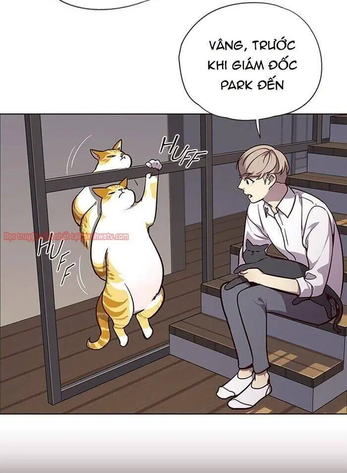 Hoá Thân Thành Mèo Nettruyen ZZZ Chương 51 Page 5