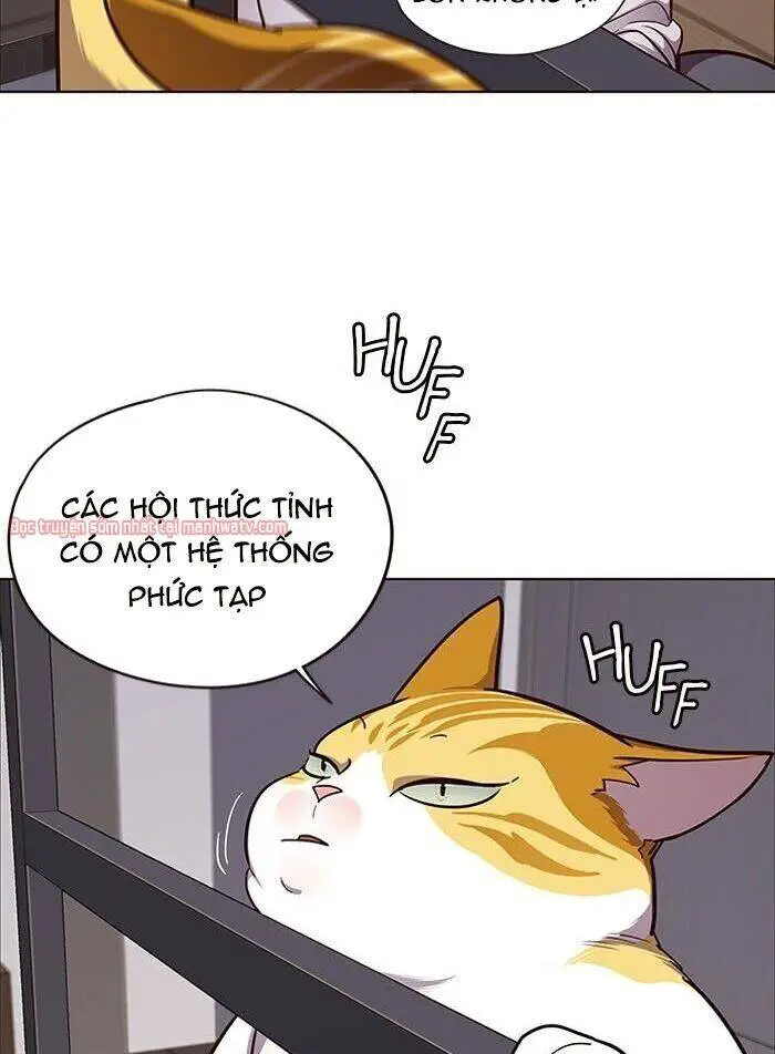 Hoá Thân Thành Mèo Nettruyen ZZZ Chương 51 Page 14