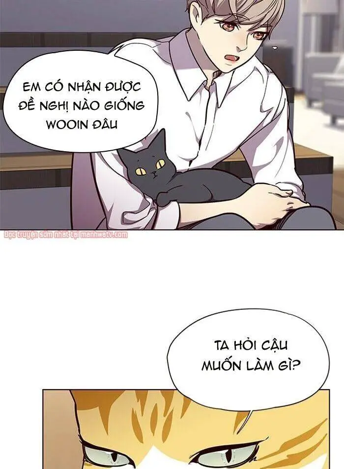 Hoá Thân Thành Mèo Nettruyen ZZZ Chương 51 Page 24