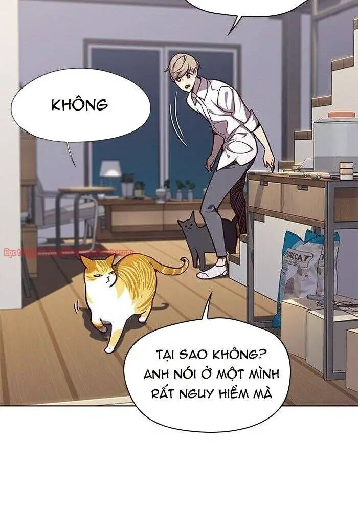 Hoá Thân Thành Mèo Nettruyen ZZZ Chương 51 Page 29