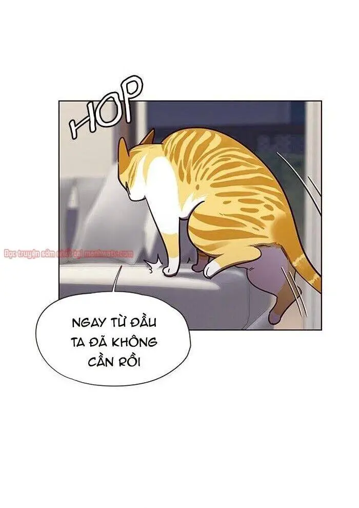 Hoá Thân Thành Mèo Nettruyen ZZZ Chương 51 Page 30