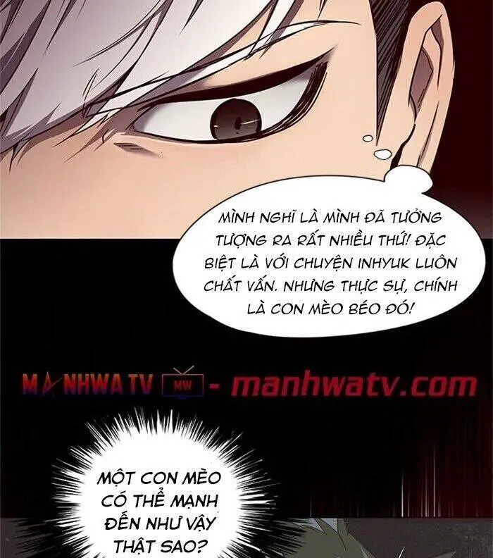 Hoá Thân Thành Mèo Nettruyen ZZZ Chương 46 Page 49